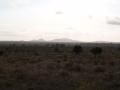 gal/Kenya/_thb_P7220525_Tsavo_Safari.JPG