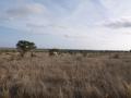 gal/Kenya/_thb_P7220526_Tsavo_Safari.JPG