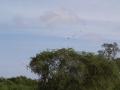 gal/Kenya/_thb_P7220530_Tsavo_Safari.JPG