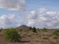 gal/Kenya/_thb_P7220568_Tsavo_Safari.JPG